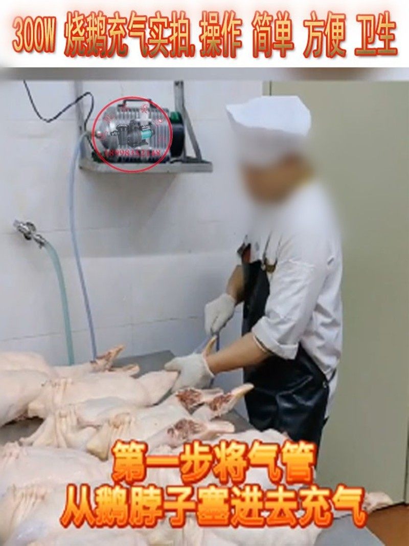 海利鱼池增氧烤鸭充气烧鸡 烧鸭烧鹅吹气泵烧鹅冲气泵烤鸭打气机