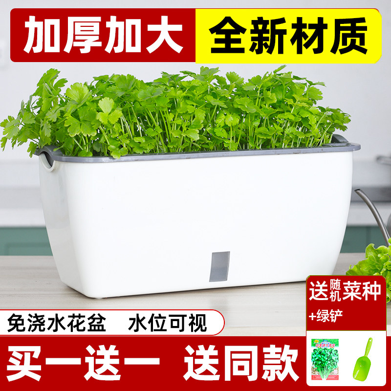 阳台种菜盆家庭蔬菜种植盆专用箱自吸水室内草莓盆栽懒人塑料花盆