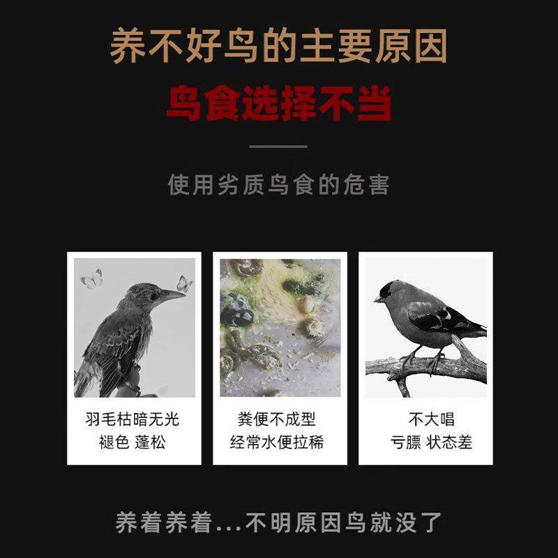 黄鹂鸟饲料专用鸟食鸟粮提性壮膘画眉八哥幼鸟通用营养混合软肉食