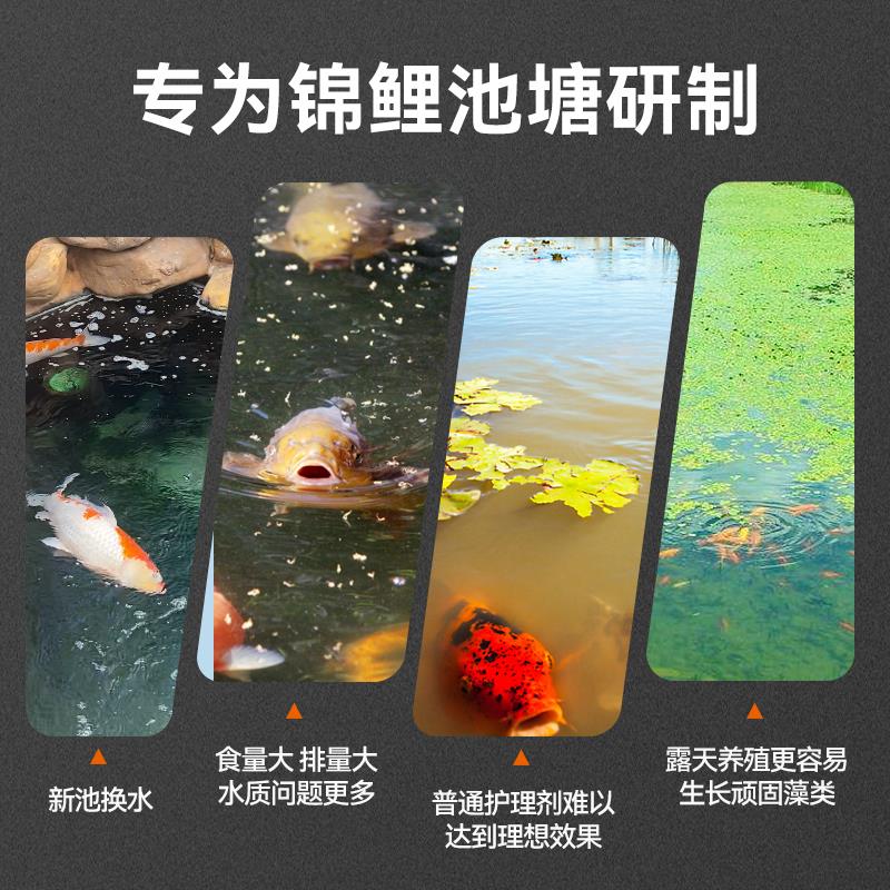百因美硝化细菌锦鲤鱼池水质清澈剂除藻剂净水剂鱼缸水质稳定剂5L