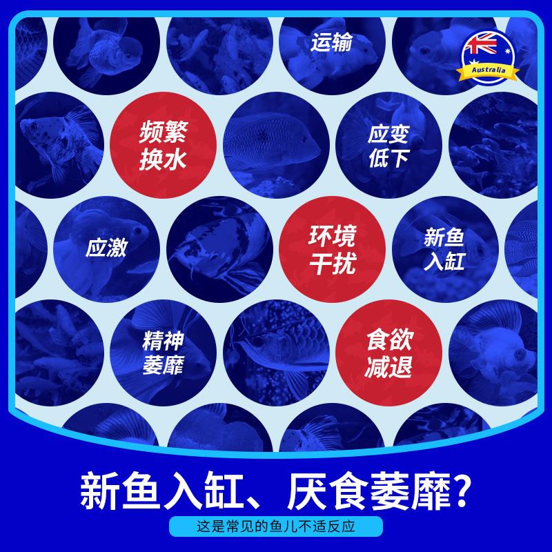 汤本臣鱼愈19号龙鱼活力营养液观赏鱼专用营养液水族鱼缸益生菌剂