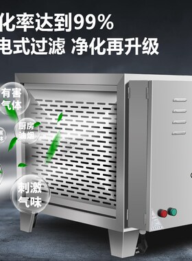 低空油烟净化器商用饭店厨房排放6000风量餐饮烧烤过环保除烟除味