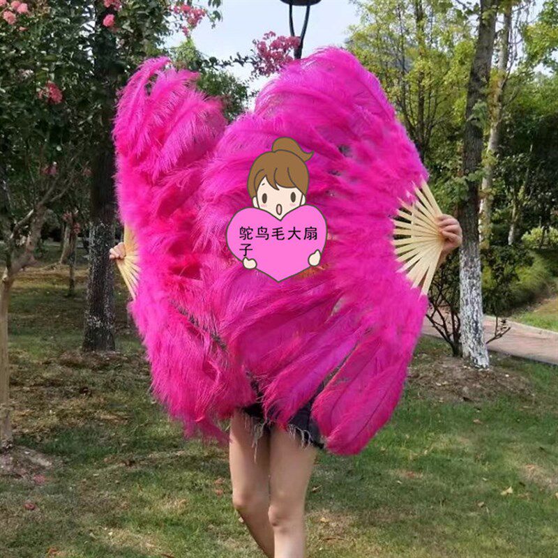 羽毛扇鸵鸟毛扇子 肚皮舞蹈蹦迪酒吧表演演唱会道具羽毛扇子折扇