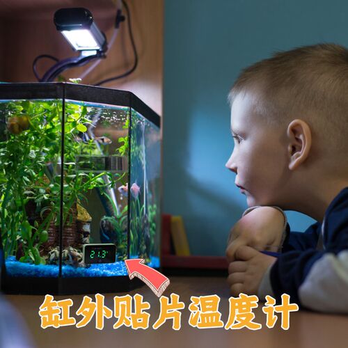鱼缸数字数显温度计水温计外置贴片式水族箱高精度节能高亮温度表