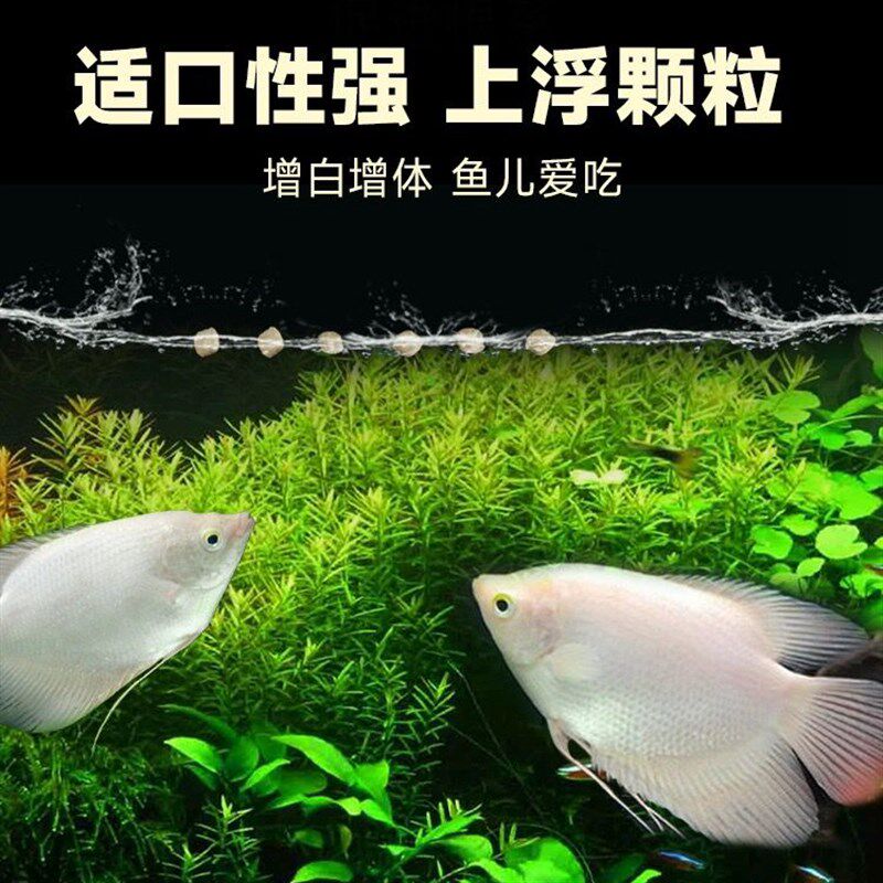 招财鱼专用饲料鱼食防烂身战船鱼防红斑病防病爱鱼红抗病鱼食鱼粮