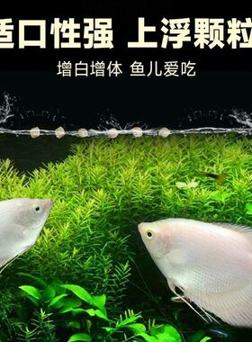 招财鱼专用饲料鱼食防烂身战船鱼防红斑病防病爱鱼红抗病鱼食鱼粮