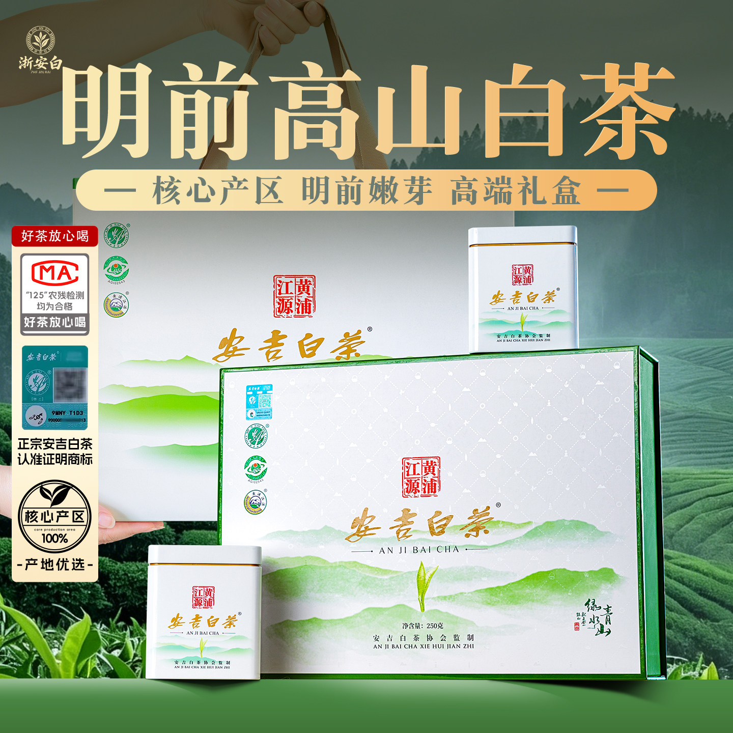 【顺丰】核心产区安吉白茶叶礼盒