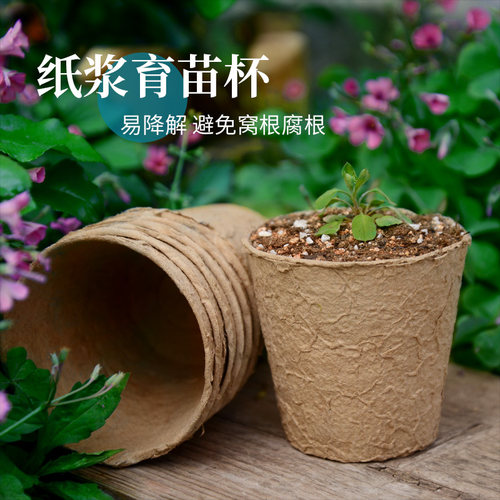 纸浆育苗杯营养盆可降解育苗钵培育盆一次性8*8*5cm营养杯育种盆