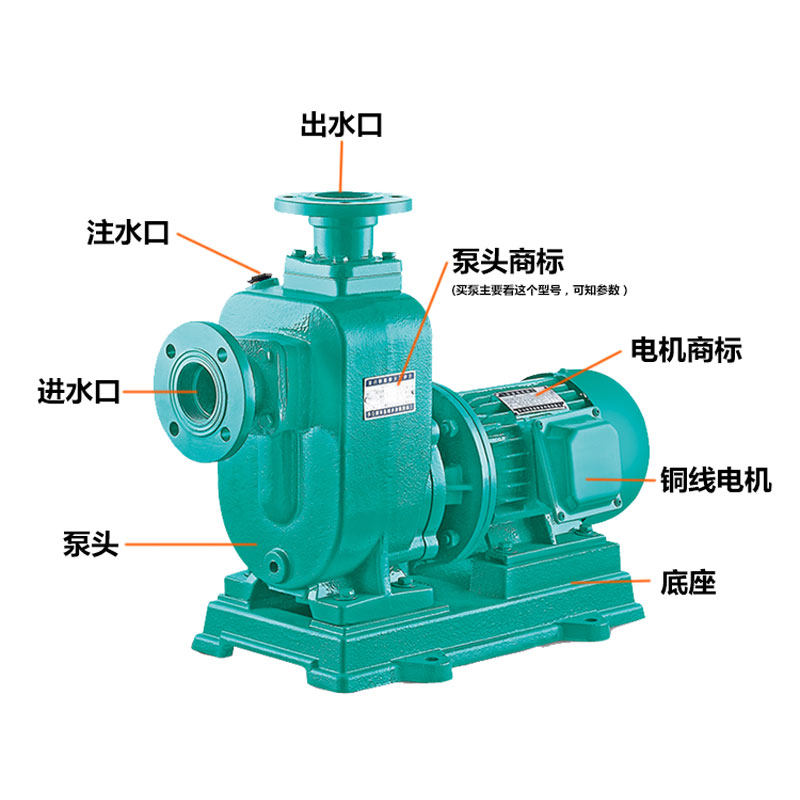 钱涛ZW卧式自吸抽泥沙无堵塞排污泵家用污水泵化粪池泥浆泵380V