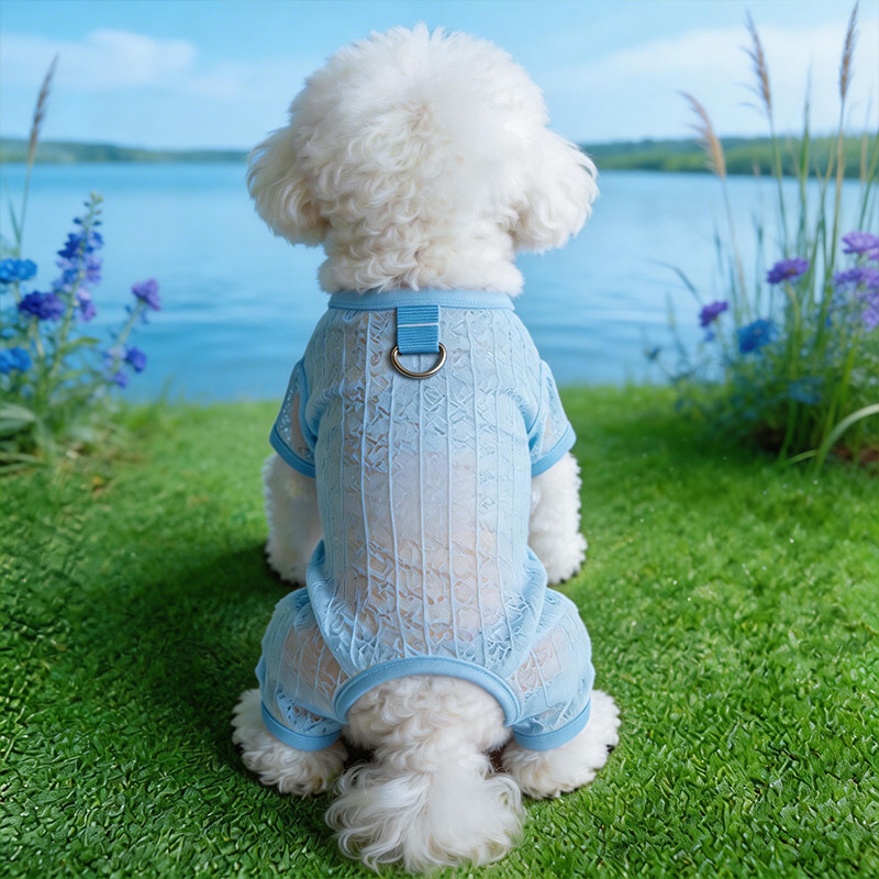 狗狗衣服薄款夏季透气中小型犬比熊泰迪四脚衣猫咪衣服薄款防掉毛