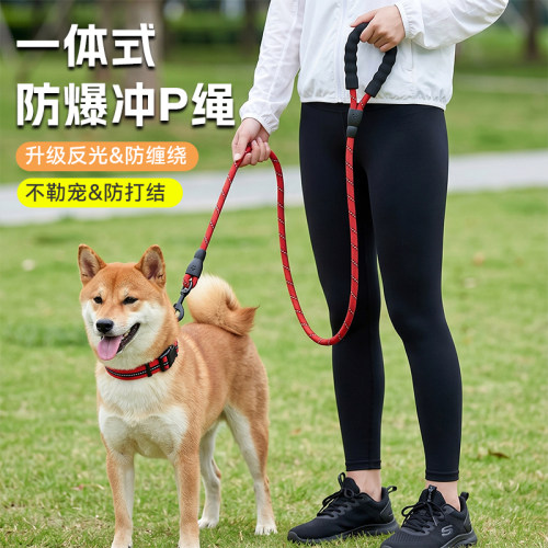 狗狗牵引绳狗绳子遛狗脖圈泰迪金毛宠物大型中型小型犬狗链p绳