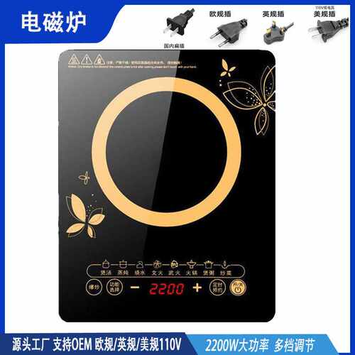 110V电磁炉110V电陶炉多功能电池炉灶induction cooker