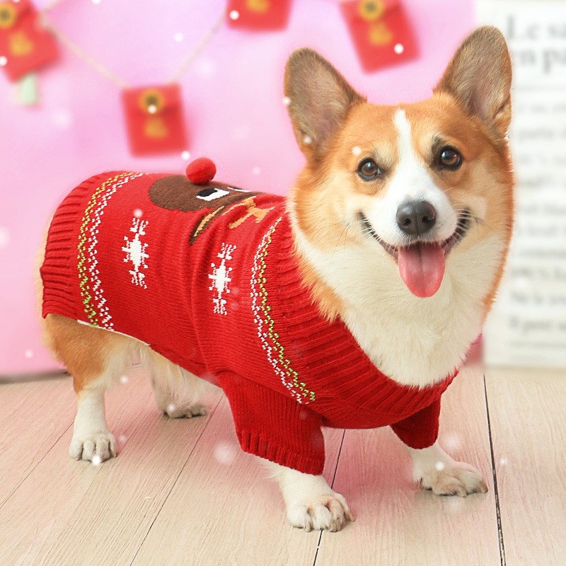 狗狗柯基衣服冬装冬天过年毛衣泰迪柴犬冬季秋冬保暖喜庆网红新年