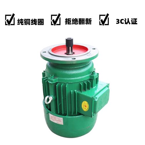 河南真牛YEZ112S-4 3.0KW 132S 4.5KW提梁机架桥机龙门吊行走电机