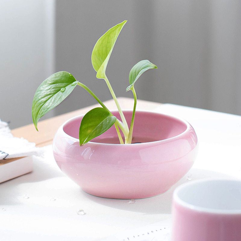 陶瓷粉色可爱鲸鱼大象动物小花器花瓶摆件创意水培茶道花插花器图片