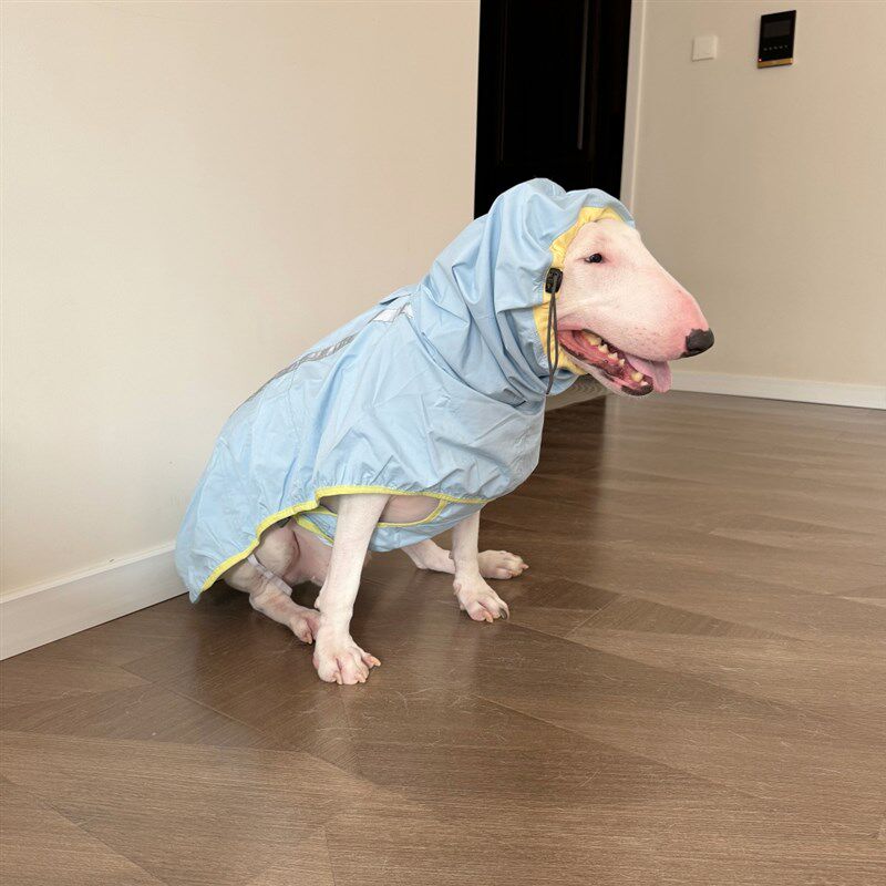 宠物狗猫雨衣小中大型犬不影响走路安全反光条四季雨披防水衣雨披