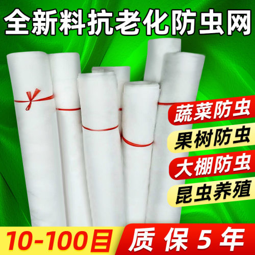 农用蔬菜菜地种菜大棚专用防虫网果树防鸟网防果蝇纱网打井过滤网