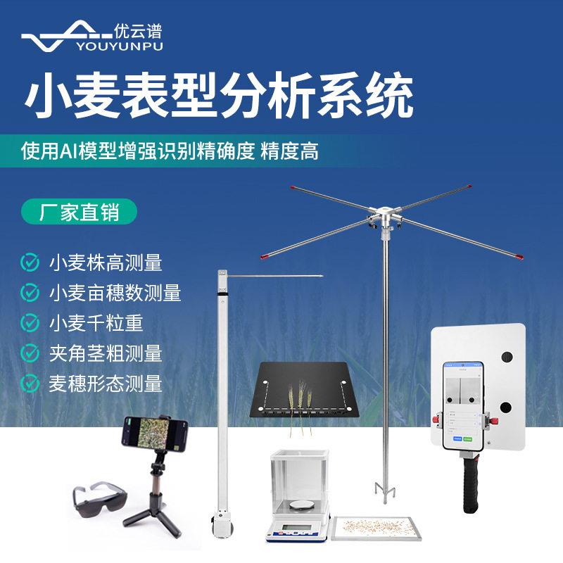 小麦表型分析系统麦穗形态小麦亩穗数测量系统小麦表型测量分析仪