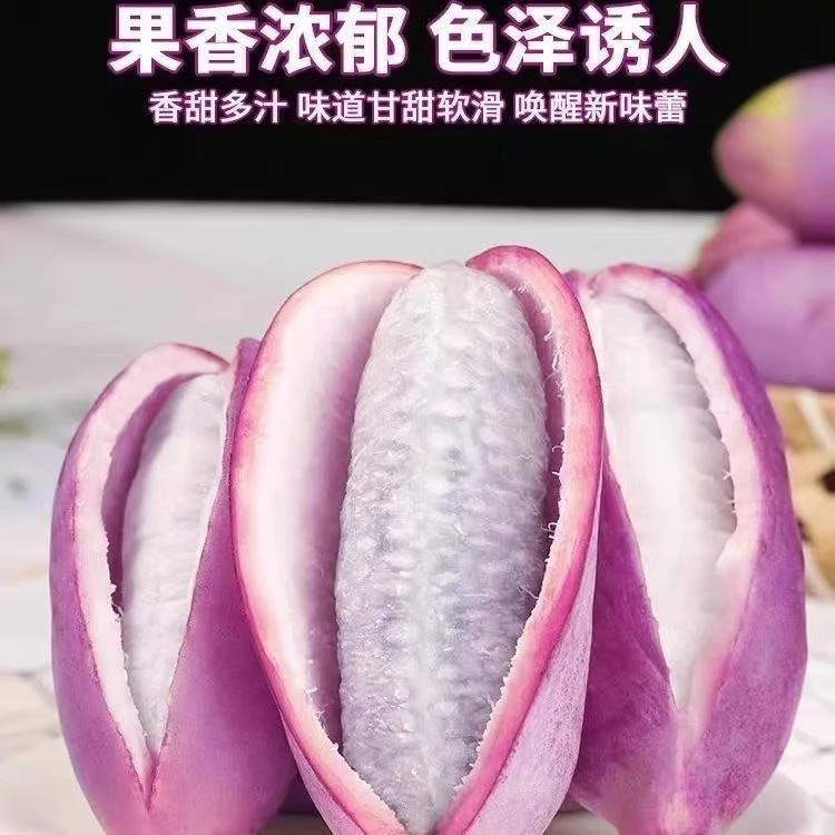 【下单立减50】八月瓜种子 阳台庭院食用水果爬藤植物gj