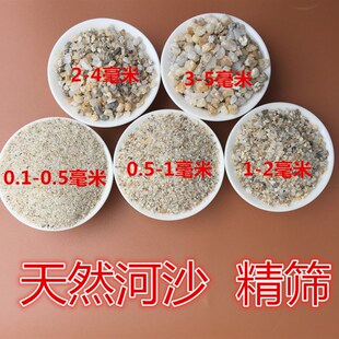天然粗河沙多肉铺面石头拌土粗沙子颗粒种植花用河砂土鱼缸底沙石