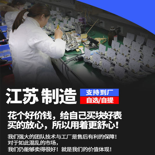 岚顺兆欧表测试仪 2500V绝缘测试仪 电阻测试仪岚顺 ZC25B-3摇表