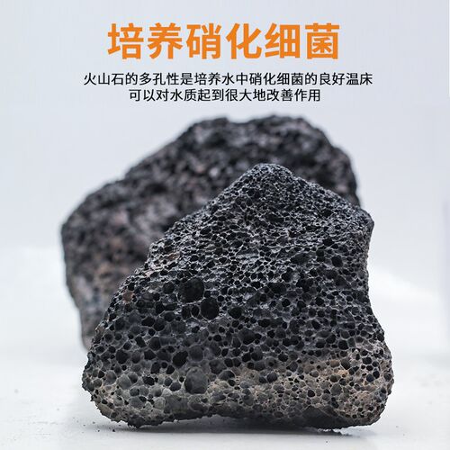 雨林缸底层 假底天然黑棕色火山岩熔岩石鱼缸水族箱造景装饰素材