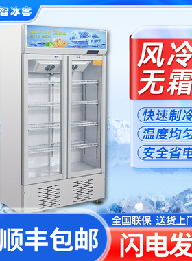 智冰客饮料展示柜冷藏保鲜冰柜大容量双开门超市立式单门啤酒冰柜