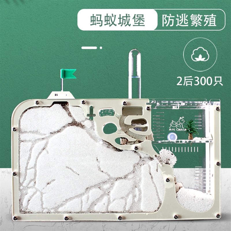 蚂蚁城堡 工坊学生小宠物送蚁后群生态沙土巢沙堡蚁巢窝家园王国