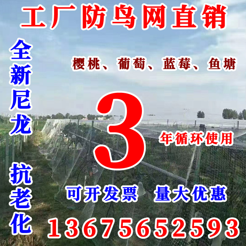 果园防鸟网果树露天天网草莓葡萄大棚整体覆盖尼龙网蓝莓养殖防鸟