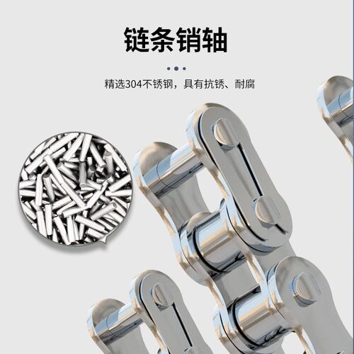 304/316不锈钢链条单双排2分04C/05B/3分06B/4分08B/5分10A/6分12