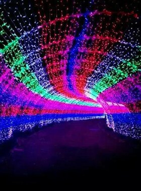 led彩灯紫色闪灯串灯户外防水led灯串圣诞灯满天星彩灯装饰灯包邮