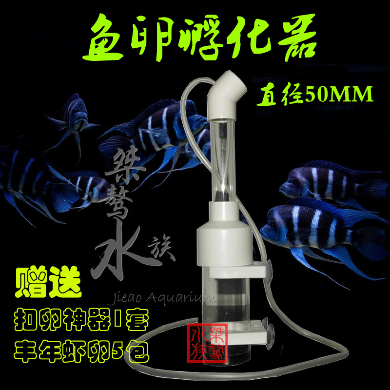 精品包邮 三湖慈鲷 异型底栖观赏鱼 鱼卵孵化器 50MM亚克力 精制