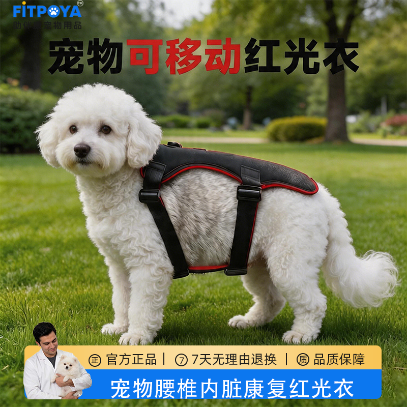 宠物胸部红光理疗仪宠物专用红光灯腰椎间盘肋骨骨折内脏受损康复