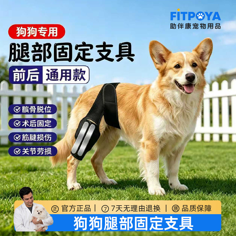 宠物狗十字韧带撕裂护具后腿固定支具髌骨脱位损伤腿固定关节劳损