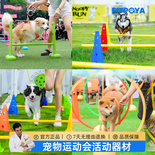 宠物运动会户外敏捷训练障碍器