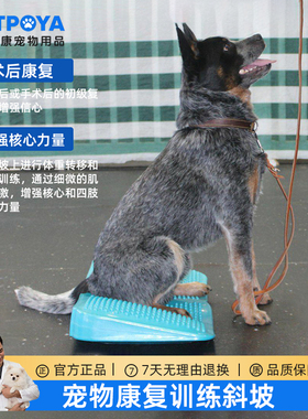 宠物康复训练斜坡充气坡道锲子狗健身球肌肉体重转移倾引渡后肢力
