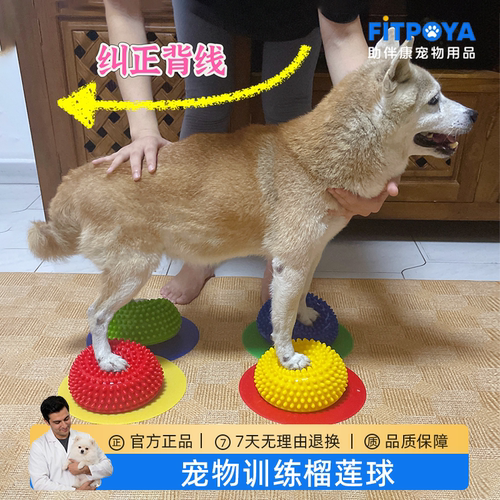 宠物狗爪垫榴莲半球平衡训练器
