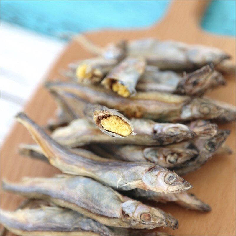鲜肉冻干猫粮大号带籽多春鱼500g网红小鱼干猫咪宠物零食新鲜鱼条