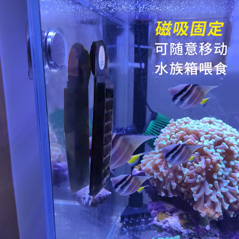 彬海海蔬菜紫菜水族喂食器鱼缸吸盘固定海藻藻夹海水珊瑚缸专用