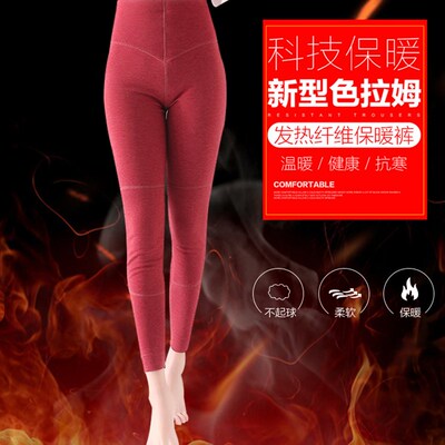 秋裤女内穿护膝护腰加绒保暖裤紧身高腰纯棉加厚衬裤大码棉毛线裤