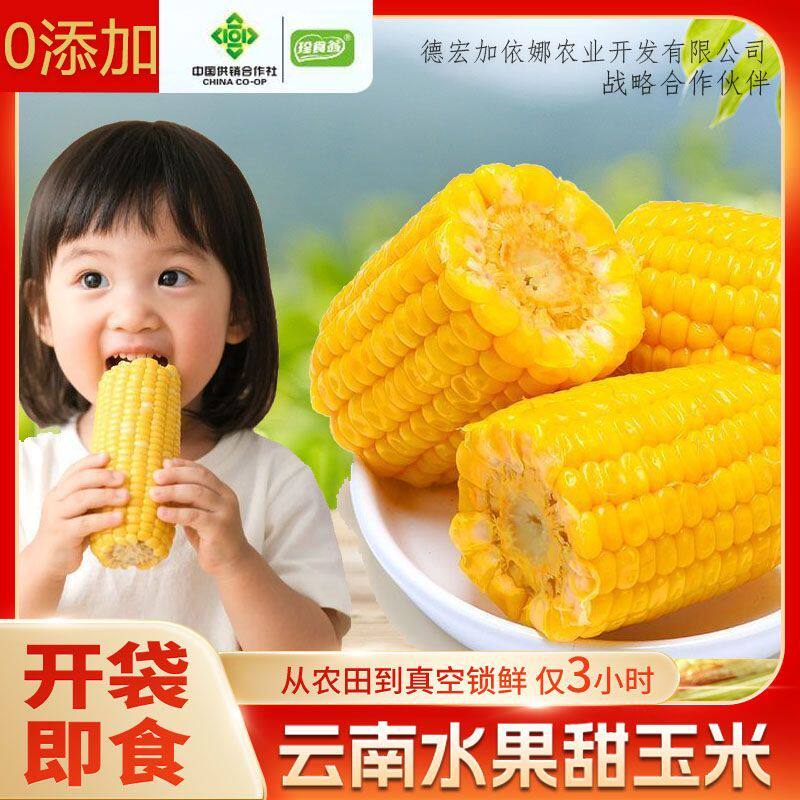 珍食翁云南水果玉米脆甜爆汁代餐