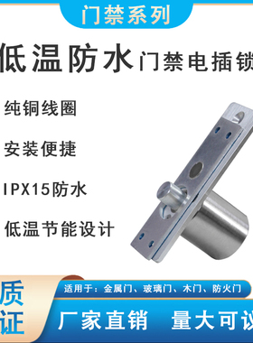 迷你门禁小型电插锁低温室外防水电磁锁玻璃门锁木门锁等