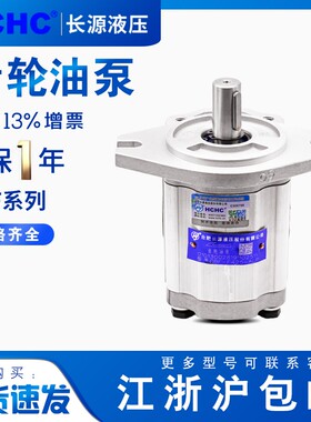 HCHC合肥长源齿轮油泵CBF-F410-ALP CBF-F420-ALP CBF-F432-ALP
