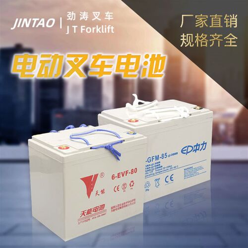 中力小金刚 天能85A65A30A免维护合力杭州全电动叉车电瓶电池配件