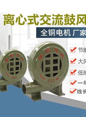 猛火灶柴火炉烧烤调速鼓风机220v强力小型家用吹碳助燃锅炉拱门机