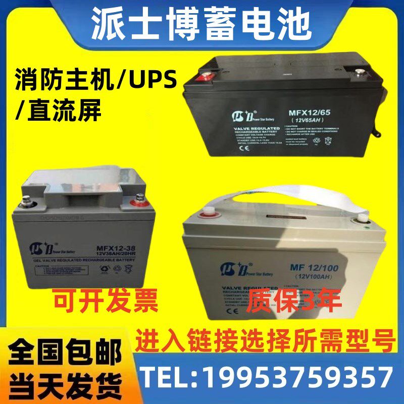 PSB派士博蓄电池 MF/MFX/ -12V24A38A65A100AH 消防/机房/UPS/EPS