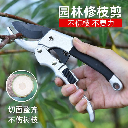 德国进口剪树枝专用剪刀园林修枝剪果树园艺sk5修花粗枝剪子省力
