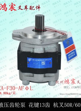 叉车 液压泵 齿轮泵 油泵 CBHZA-F30-AF13L 杭叉50R/60R/70R 5-7T