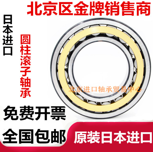 进口NSK轴承N NU NJ 304 305 306 307 308 309 310 311 312E EM
