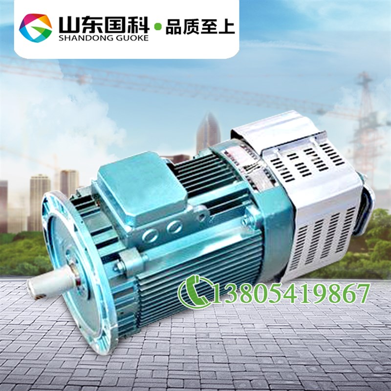 施工电梯 升降机电机亚联 YZZ/YZEJ132M-4 11kw 三上巨力人货电机